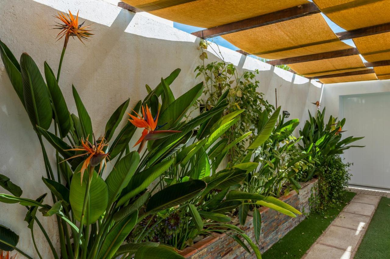 Acogedora Casita En La Subbetica, Centro De Andalucia, Granada Y Cordoba Vila Zambra Exterior foto